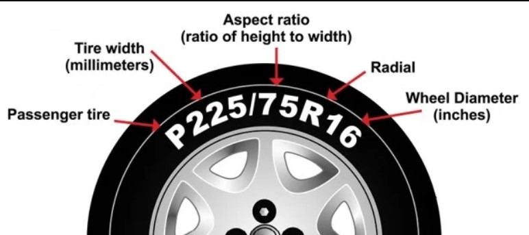 Read Tire Sizes