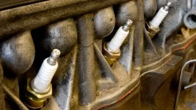 locate the spark plugs